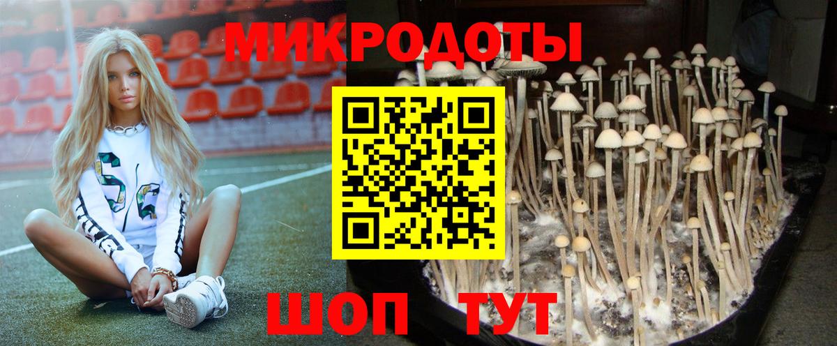 Галлюциногенные грибы Верхний Уфалей